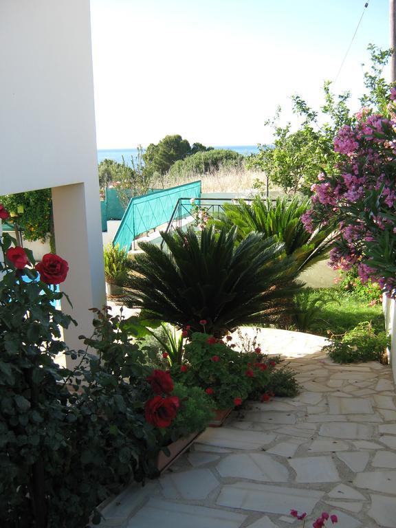Villa Pergia Latchi 폴리스 객실 사진